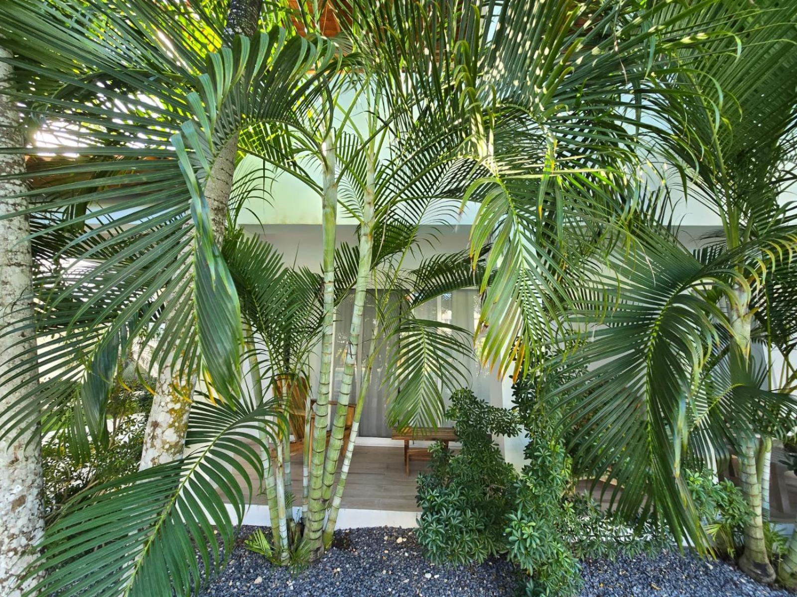 Residencial Paraiso Bayahibe Ngoại thất bức ảnh